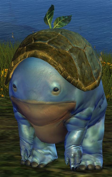 Endless Blue Quaggan Tonic Guild Wars Wiki Gw W