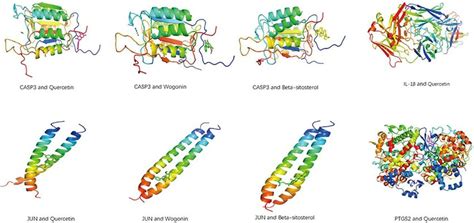 Molecular Docking Patterns Download Scientific Diagram