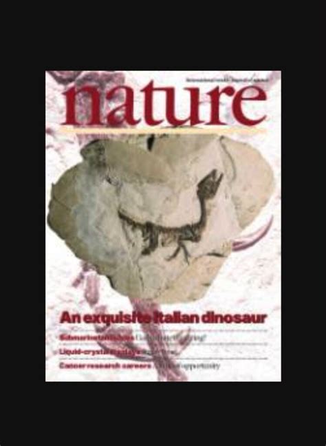 Ricostruiti In 3D Gli Organi Di Ciro Il Primo Dinosauro Scoperto In