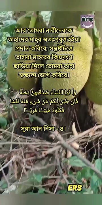 কোরআনের বাণী Islamicvideo Edit Shorts Religion Explore Youtube