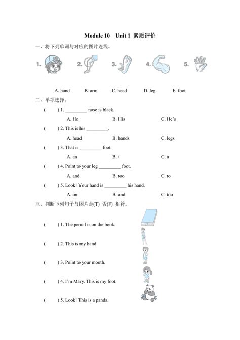 外研版（三起）三年级上册英语module 10 Unit 1and Unit2 同步练习（含答案） 21世纪教育网