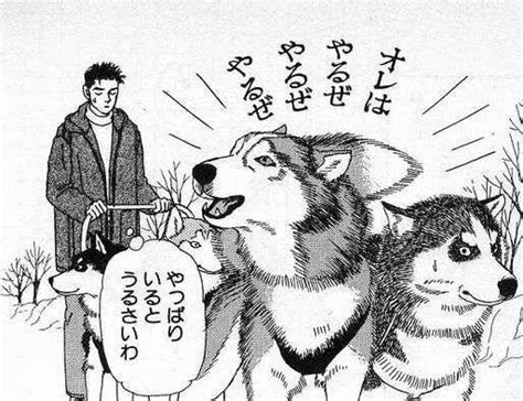 今読んでも、笑って癒される『動物のお医者さん』！世にハスキー犬と獣医学部の名を知らしめた珠玉マンガです！