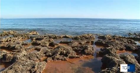 In Sicilia Record Di Reati Ambientali In Mare E Sulle Coste