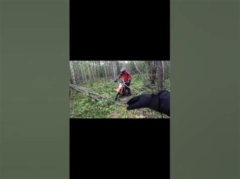 регуль мото не может переехать ветку # Shorts - YouTube