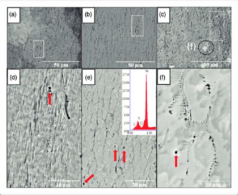 A Bse Sem Micrographs Showing The Microstructure In The A D First Download Scientific