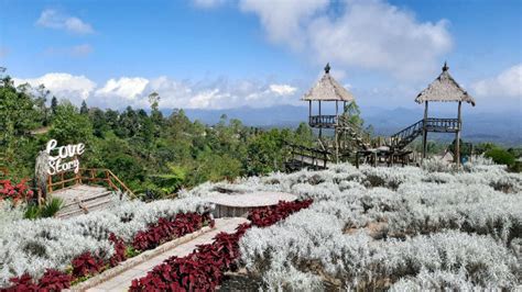 Taman Edelweis Bali Jam Buka Harga Tiket Dan Daya Tarik 2025