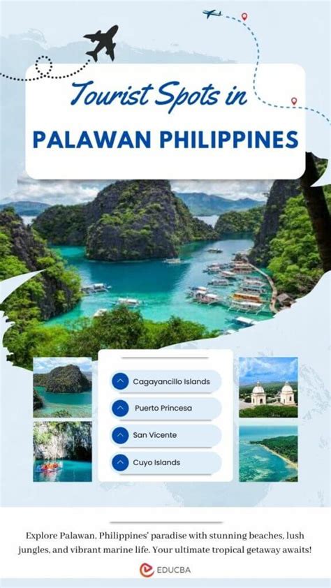 Top Rated Spots Attractions In Palawan Philippines