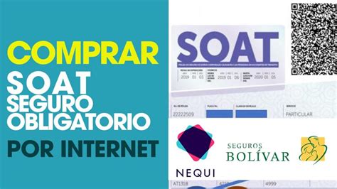 Descubre Los Requisitos Imprescindibles Para Solicitar Licencia De