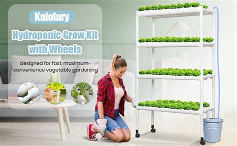 Kalolary Layer Hydroponic Grow Kit With Wheels Sites Pipes