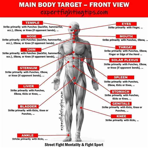 Human Body Targets