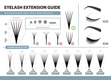 Learn Lash Extensions Eyelash Extensions Volume Eyelash Extensions