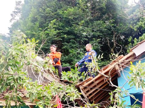 Dua Rumah Rusak Tertimpa Pohon Radarbanten Co Id