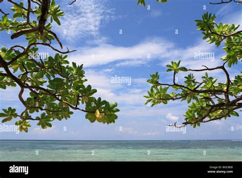 Aragusuku Beach Miyakojima Okinawa Japan Stock Photo Alamy