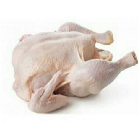Jual Daging Ayam Segar Shopee Indonesia