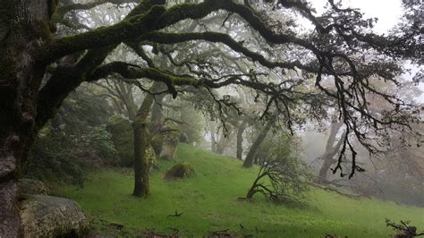 Castle Rock State Park, California | Castle rock state park, State ...