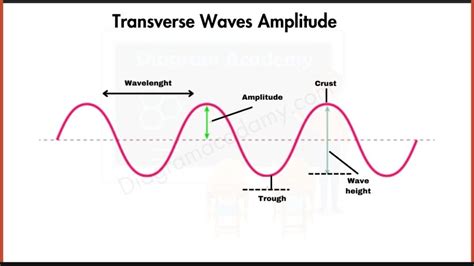 Transverse Waves Diagram