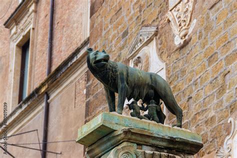 Capitoline Wolf Bronze Sculpture Of The Mythical She Wolf Suckling The