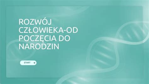 Rozwój człowieka od poczęcia do narodzin