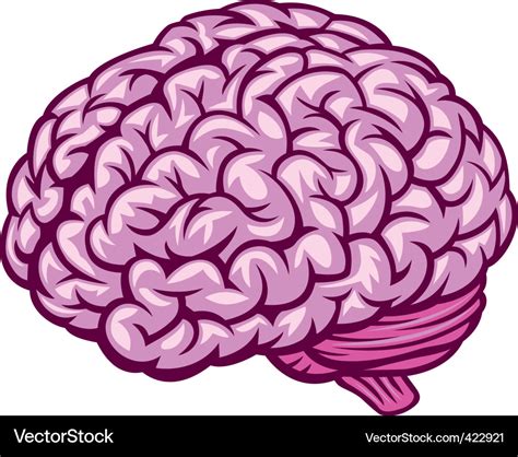 Brain Royalty Free Vector Image Vectorstock