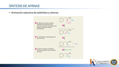 Aminas Quimica Organica Para Ingenieros Quimios PPT