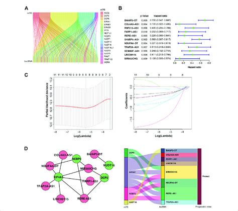 M7g Associated Lncrnas M7g Lncrnas And Their Co Expression Networks