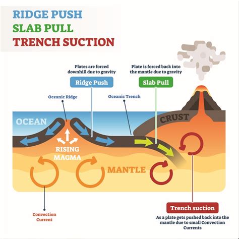 GCSE Geography | How do Tectonic Plates Move? (Tectonic Hazards 3) | Reference Library ...