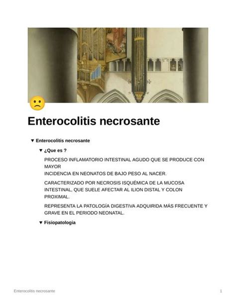 Enterocolitis Necrosante Luis Esquivel Pe A Udocz