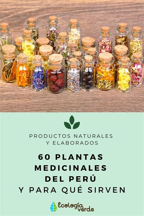 Plantas Medicinales Del Per Y Para Qu Sirven Gu A Completa