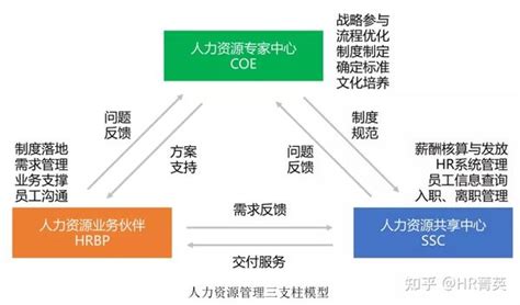 人力资源三支柱建设 知乎