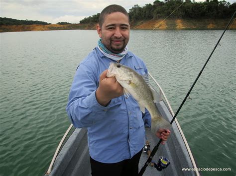 Espacio De Pesca Pesca De Mojarra Black Bass Y Tilapia En Guatape