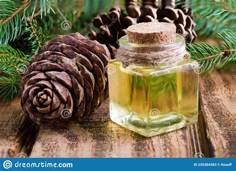 Glass Bottle With Cedar Oil Pine Nuts Cedar Essential Oil Stock Image