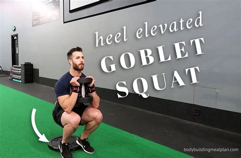 Complete Goblet Squat Exercise Guide (with Pics & Videos)