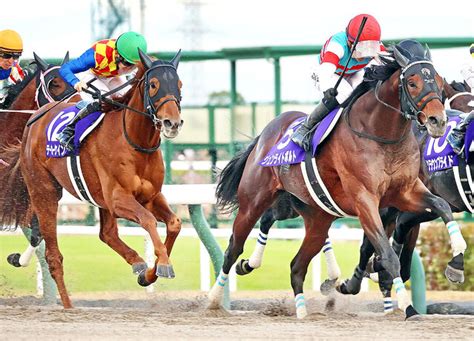 【チャンピオンズc】ジュンライトボルト、帝王倒して新砂王！「ブラボー！」9年目の石川騎手も絶叫初g1 ライブドアニュース