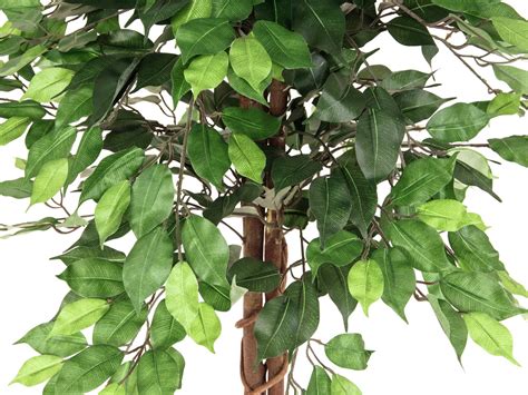 Ficus Tree Multi Trunk Artificial Plant Cm Europalms