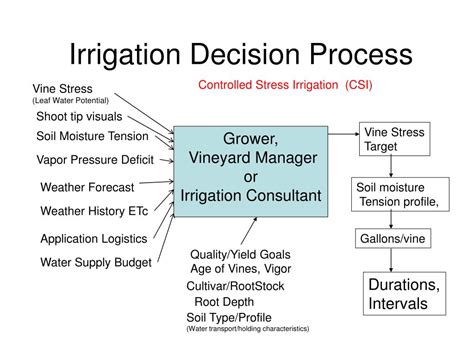 Ppt Irrigation Decisions And Water Conservation Powerpoint