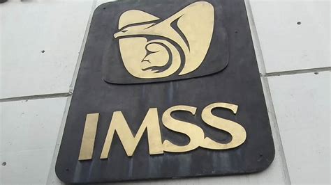 C Mo Corregir Mi N Mero De Seguridad Social Ante El Imss