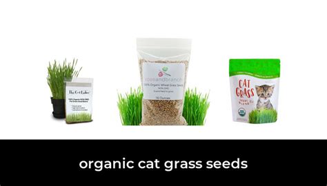 48 Best organic cat grass seeds 2022 - After 200 hours of research and testing.