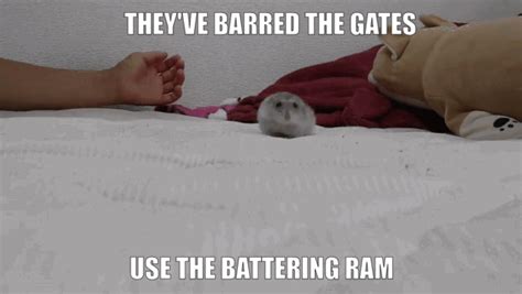 THEY VE BARRED THE GATES USE THE BATTERING RAM IFunny