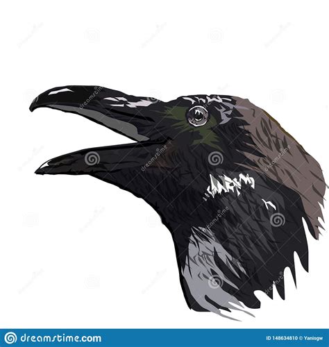 The Head of a Raven Vector Graphics the Isolated Image Stock Illustration - Illustration of ...