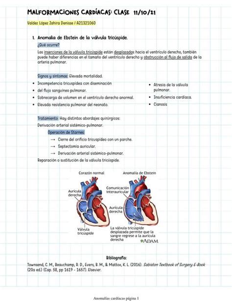 Anomalías Cardíacas Embriología Zahira Valdez uDocz