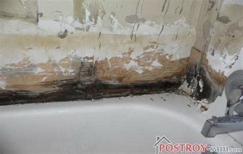 Грибок в ванной: причины, профилактика, борьба