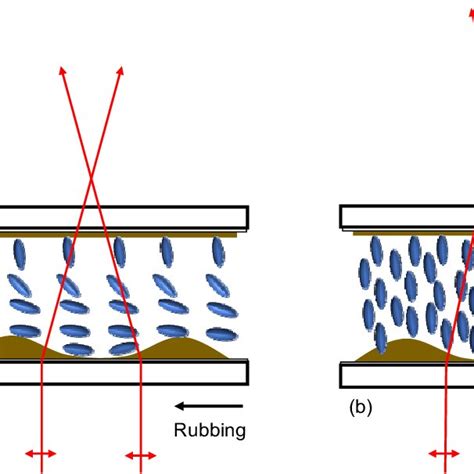 Cross Sectional Structure Of The Lc Lens Cell A Hybrid Alignment In