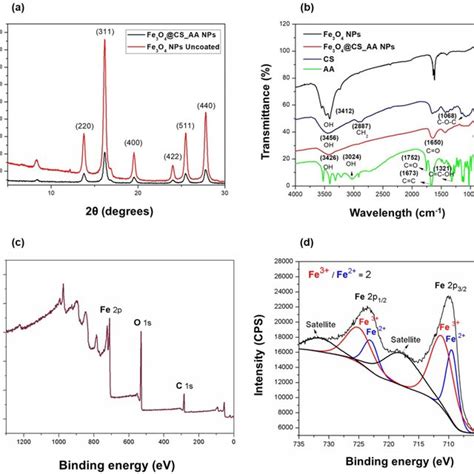 A Xrd Patterns Of Uncoated Fe O Nps Red Line And Fe O