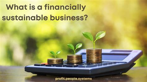 What Is A Financially Sustainable Business Profit People Systems