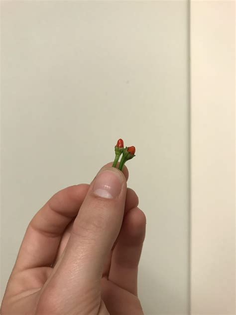 506 Best Hot Lips Images On Pholder Mash Tomi Lahren Hot And Androgynoushotties