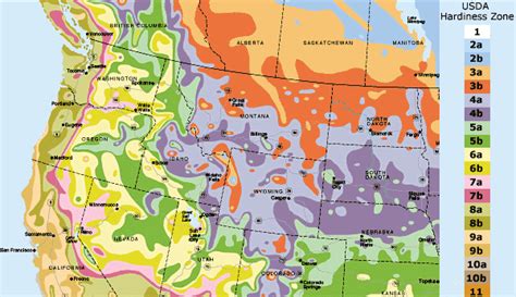 Gardening Zone Map Usa - outdoor