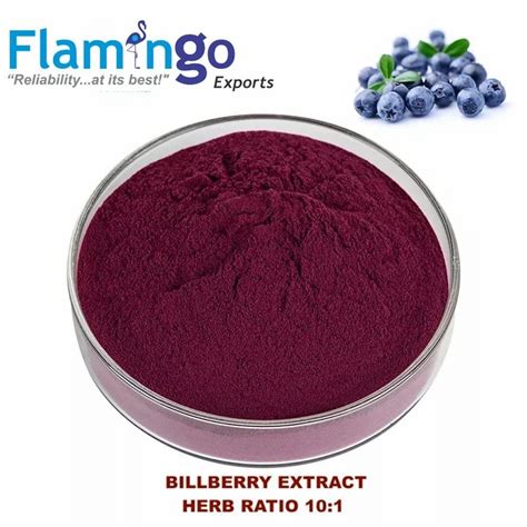 Bilberry Extract Powder at Rs 2200/kg | Bilberry Fruit Extract in ...