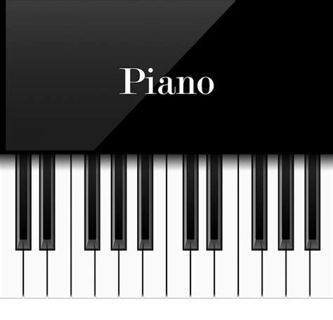 Premium Vector Realistic Piano Keys Illustration