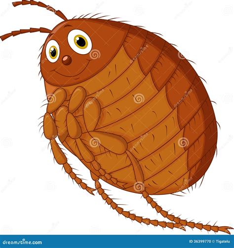Flea Cartoon Louse Harmful Blood Sucking Insect Vector Illustration