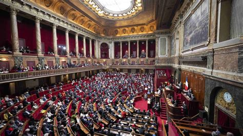 Frankreich Abtreibung In Verfassung Verankert Proteste Vor